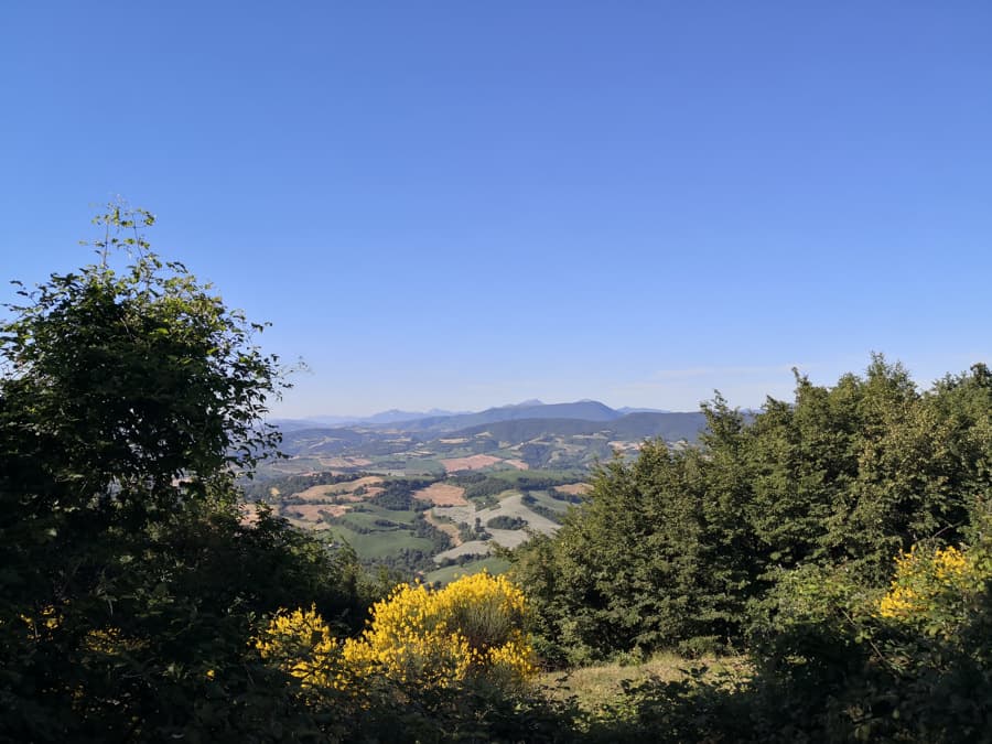 paesaggio_1.jpg
