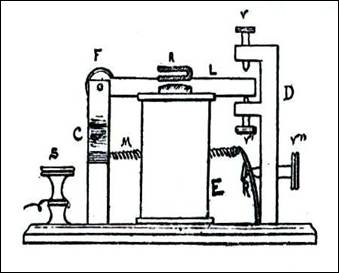 Italian Sounder